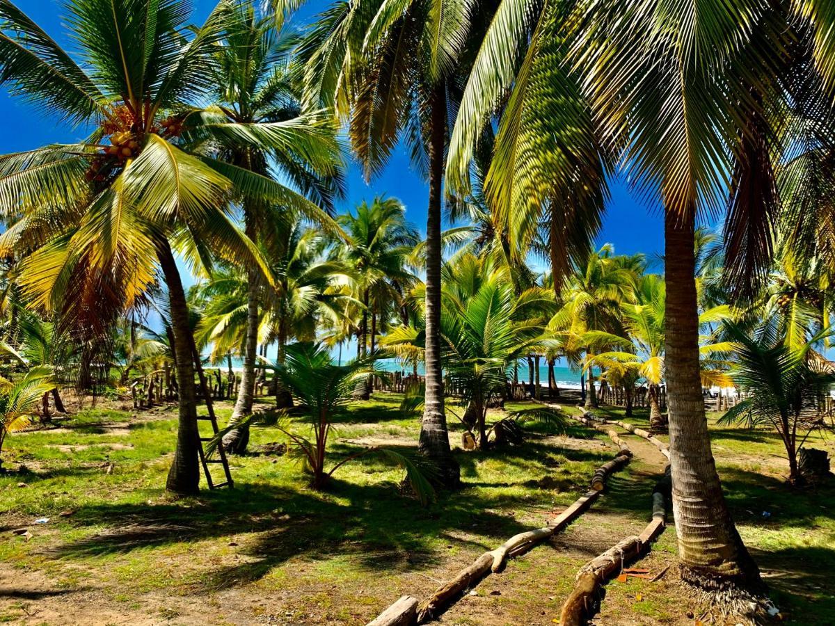 Playa Jaguar - Beach Club Monitos エクステリア 写真